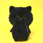 ぷっくりぽちゃりなエキゾチックショートヘア黒猫 ☆ニャーニャーニャーシリーズ