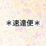 速達便＊お急ぎの方へ