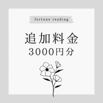 追加料金 3000円分