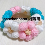 panchanpapa1様専用