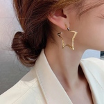 ❤︎キラキラ星ピアス