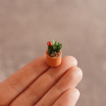 小さな多肉さん　サボテンのテラコッタ鉢寄せ植え　ミニチュア雑貨　ドールハウス