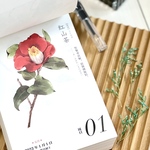 【2023年】中華文具・水彩画🌸日めくりカレンダー