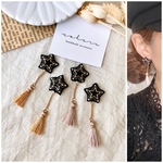 全2色 小ぶり 星 ビーズ 刺繍×チェーンタッセルピアス/イヤリング