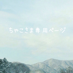 ちゃこさま専用ページ