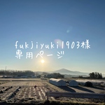 玄米カイロ肩用3つ◯普通サイズ　3つ