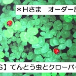 ＊Ｈさま　オーダー品＊