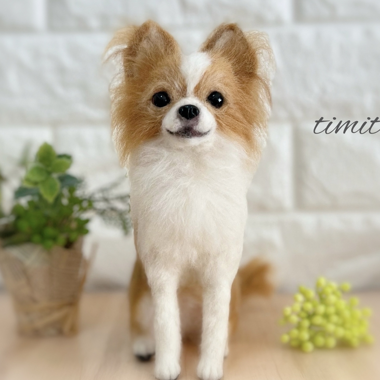 4f7cce6d9d4260980a0159da6e0534