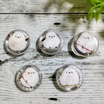 シマエナガのマグネット   ５羽