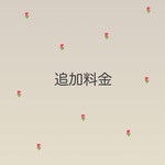 追加料金