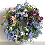 (❁´◡`❁)*:･ﾟ✧幸せのWreath「petit   grace」*:･ﾟ✧　　花色のハーモニーが美しい寄せ植えWreath