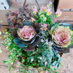 現品♡【たっぷり7種類ガーデニング】葉脈の綺麗なハボタン！葉牡丹入り寄せ植え♡白系ブリキ鉢♪
