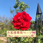 お客様専用ページ🎀(I様)