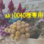aki0040様専用ページ