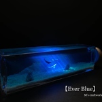   【Ever Blue】アルビノ