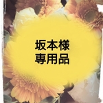 坂本様専用《セール品》花雫イヤーカフ【春暁】&【雨音-AMAME-】