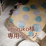 【chizuko様専用ページ】横長モモンガポーチ　　フクロモモンガ　ハムスター ハンモック