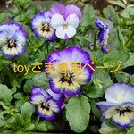 toyさま専用ページ
