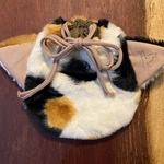 保護猫チャリティ巾着B※訳あり