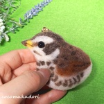 羊毛フェルト　ツグミ　野鳥　鳥　プレゼント