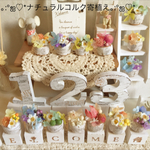 kokoron35様専用ページ♡ナチュラルコルク寄植え♡ピンク・イエロー・コルク装飾有・別々にラッピング有・母の日