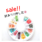 再再販!! 訳あり 押し花 約36～40枚🌸ケース入り　ネイルやレジン用に