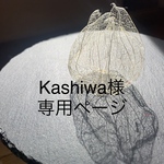 鬼灯レジンオーダー専用ページ