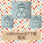 m8tchon877様専用