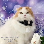 🤍モノトーンブラック🖤　ジングルベルスタイ🔔🎀　猫　ペット　スタイ　首輪　ネックレス