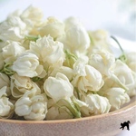 スノーボールジャスミン　雪球茉莉花（ジャスミン）特級