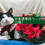 お客様専用ページ🎀🎀(S様)