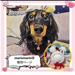 marinmarin様 専用ページ 犬服 クリスマス ポンポンニット帽