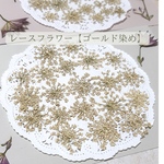 押し花 レースフラワー ゴールド染め【約20枚】