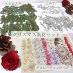 【クリスマス】押し花素材セット
