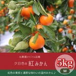 当農園オリジナル品種 夕日色の 紅みかん 5kg 混合（3S～L） 家庭用 優品 マルチ栽培 農園直送