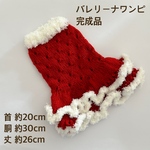 バレリーナワンピ完成品