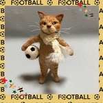 no.147 応援したい猫さん