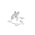 【ゆり様】専用
