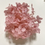 あじさい☆アナベル パープル☆ハーバリウム☆フラワーアレンジメント