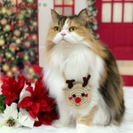 🦌トナカイポシェット🦌　Xmas 猫 ペット バッグ ネックレス