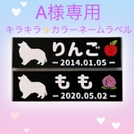 A様専用カラーオプション購入ページ