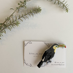 キムネオオハシの手刺繍ブローチ