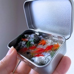  【11/27 21 時〜販売予定】 KINGYO CAN(金魚缶)★ミニ