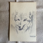 ●珈琲染めのポストカード（オオカミ）