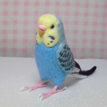 リアルサイズ♪ セキセイインコ レインボ－オパ－リンスカイブルー  羊毛フィギュア 羊毛フェルト 鳥のオブジェ リアルバード 受注制作 うちのこ オーダー お気軽にお問い合わせください