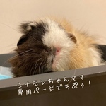 シナモンちゃんママ専用ページ