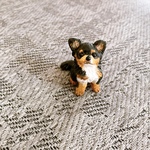 チワワ　ミニチュア　犬　置物　フィギュア　オブジェ　粘土