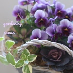 お花で癒されましょう❁⃘*.ぶどうももか🍇ﾟビオラセレクション✿*:ナチュラル寄せ植え☆
