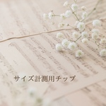 サイズ計測用チップ