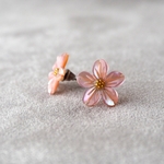 桜―シェルピアス